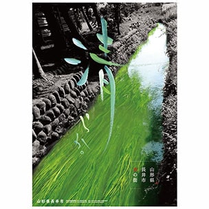 色彩のあーと書道画像11