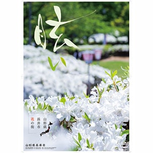 色彩のあーと書道画像17